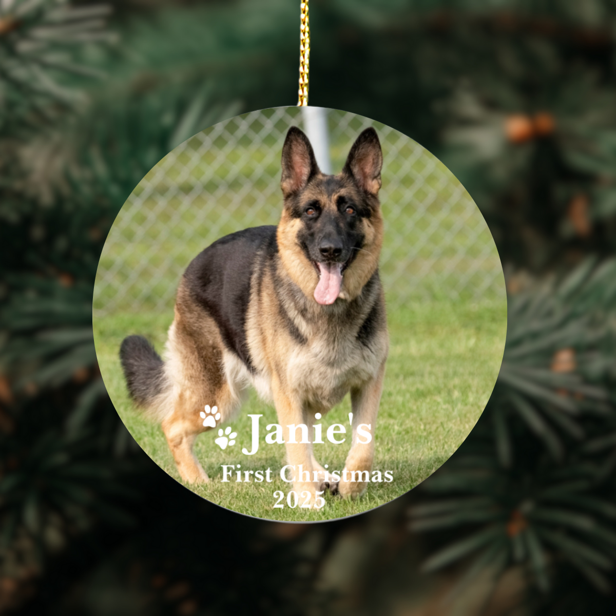 Custom Pet Photo Christmas Ornament