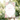 Baby shower welcome sign with floral design on an easel outdoors.