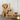 Barkuterie Cutting Board - With a puppy in the background - 12/12/2025