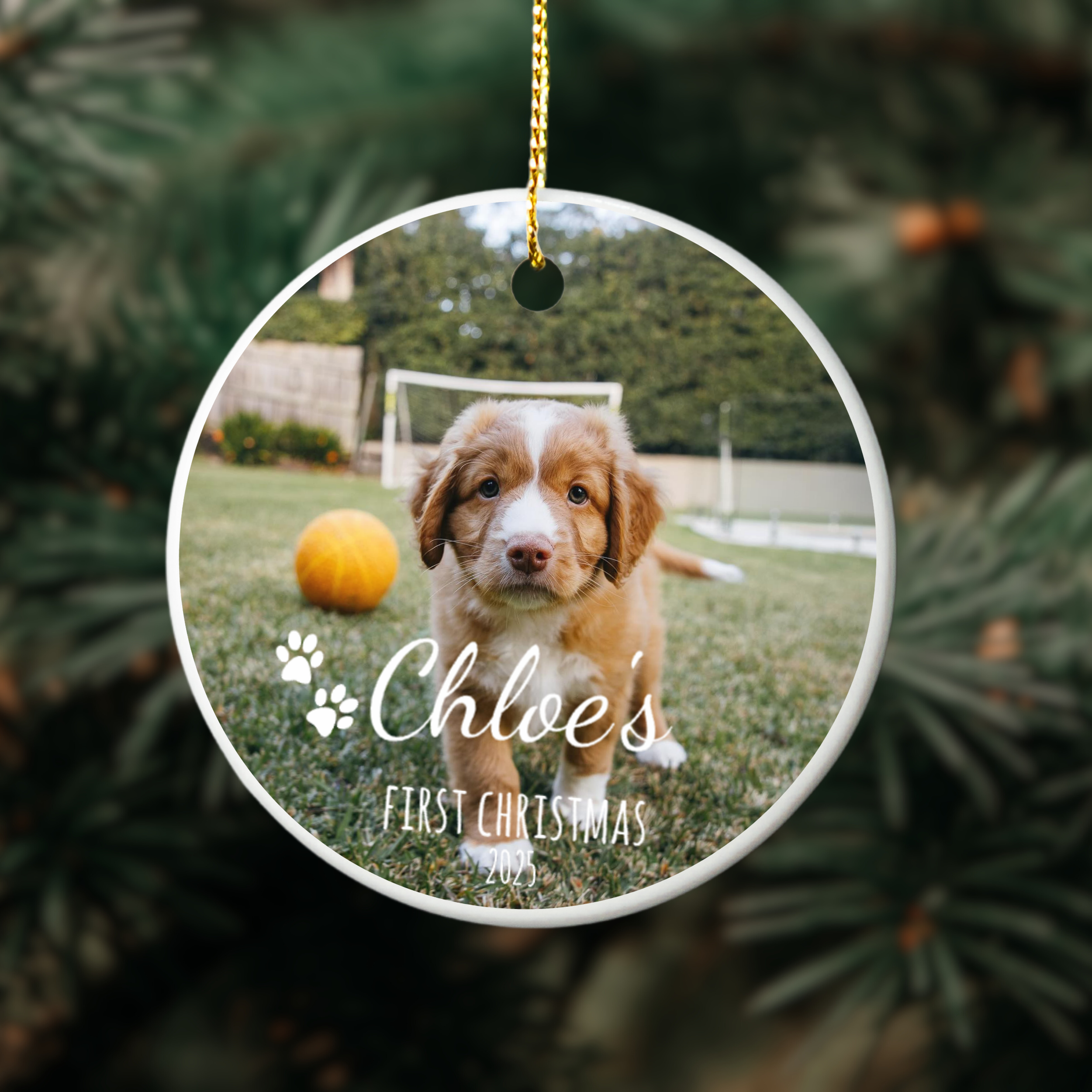 Custom Pet Photo Christmas Ornament